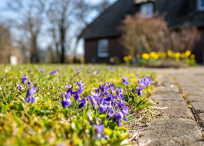 Ida's Hus - Ferien Unter Reet بيلفورن